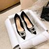 [Spot] Premium high heels women's 2025 new pointed RV square buckle rhinestone thin heel sexy single shoes