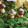 High Quality Artificial Moss Lichen Simulation Green Plants Fake Flowers Moss Micro Landscape Home Garden Decor 20g/50g/100g