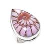Natural Ammonite Fossil Gemstone 925 Sterling Silver Jewelry Ring Size 7 C9y28
