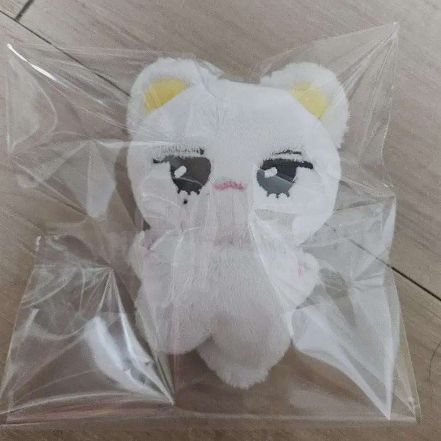 

Zerobaseone Ricky Doll Lol Nyan