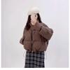 Off Season Short Women Down Cotton Coat Winter Fashion Thicken Padded Jacket Korean Trendy