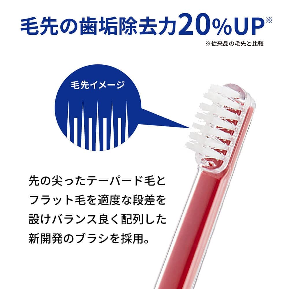 by a dental university reclean Reclean Foam Set Ultrasonic electric electric toothbrush gel high concentration periodontal gingivitis plaque oral care