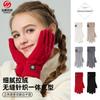 Knitted Gloves Warm and Cold Autumn and Winter Gloves Cycling Wool Twist Lengthened and Thickened Outdoor Gloves