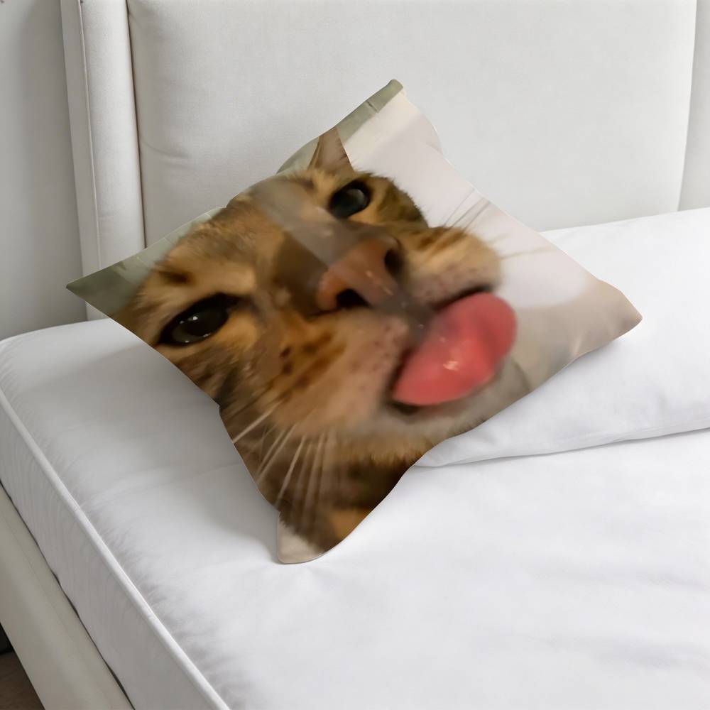 Funny Cat MeMe Decorative Square Pillow Cover Soft  Comfortable Pillow Case Sofa Bed Home Decoration