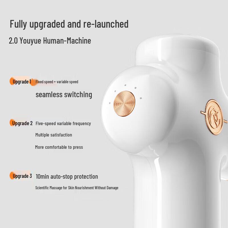 Wild Beast Fascia Massage Gun MG11 CN plug (adapter included)