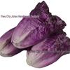 PU Simulation Purple Cabbage & Lettuce Vegetables - Faux Plants for Decoration, Education & Photography Props
