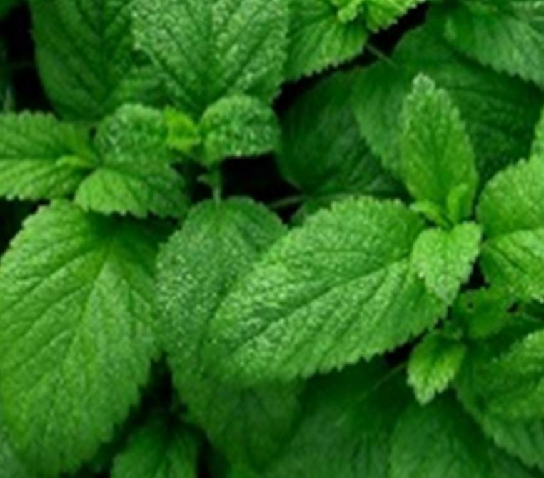 AHC Kun for menn Alt i ett essens 200ml