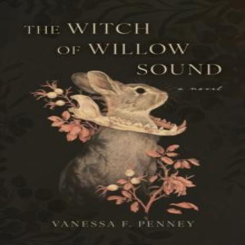The Witch of Willow Sound by Vanessa F. Penney Paperback Book 9781770418424
