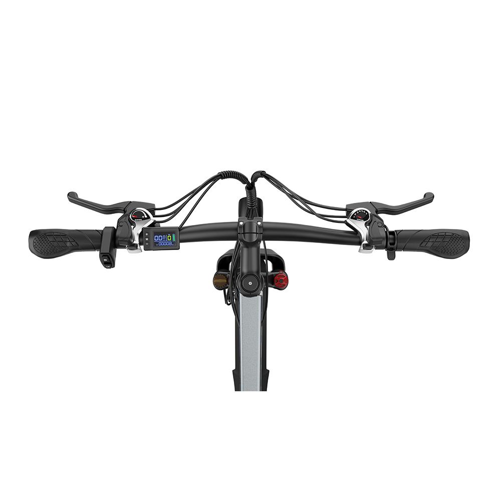 CHEEVALRY C29 Elektrisches Mountainbike 750W 48V 18.6Ah Elektrofahrrad 29 Zoll E-MTB