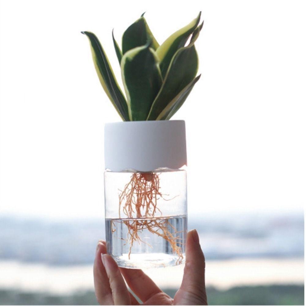 White Hydroponic Plant Pots Plastic Water Planting Vase Hydroponic Flower Pot  Garden