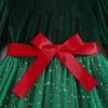 Girls Long Sleeve Princess Dress Autumn Spring Kids Christmas Party Elegant Gown Baby Toddler Formal Wear
