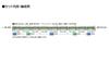 Tomytec TOMIX N gauge JR 189 series Nagano General Vehicle N109 Asama additional railway 98597 Depot, formation, set, model, train,