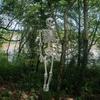 170cm Riesiges Lebensgroßes Menschliches Skelettmodell Horror Knochen Beweglich Halloween Dekoration