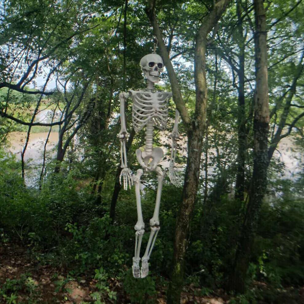170cm Riesiges Lebensgroßes Menschliches Skelettmodell Horror Knochen Beweglich Halloween Dekoration