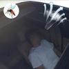 Sunroof Screen For Camping Magnetic Sun Roof Breathable Mesh Screen Moonroof Breathable Car Roof Cover Sunshade For Car