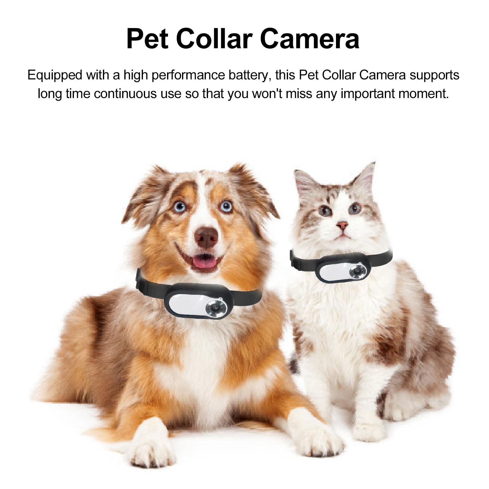 

Pet Collar Camera High Definition Portable Dog Tracker Collar Camera Action Sport Dog Cam Cat Video Camera White белый