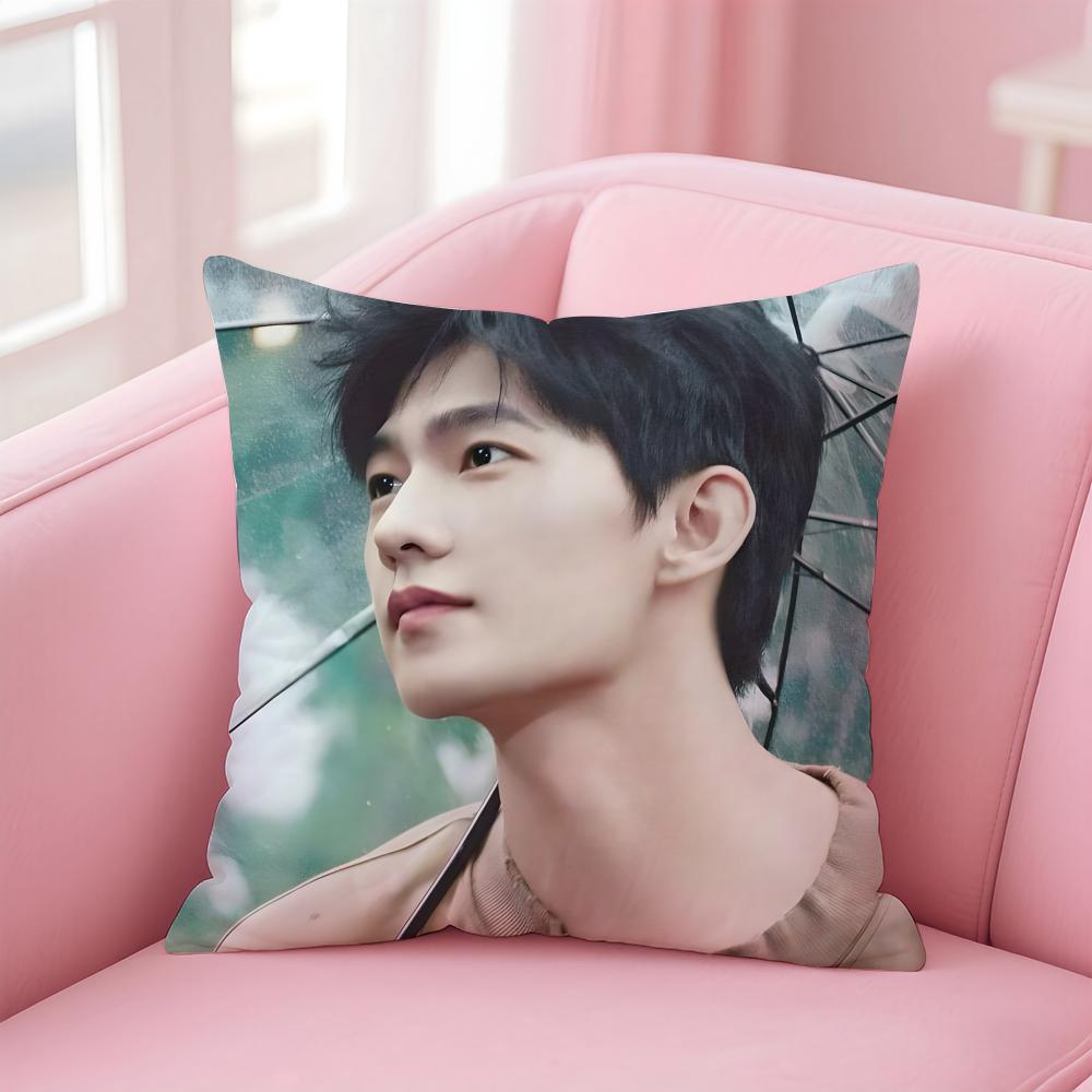 actor handsome YYang Yang Cushion Cover Pillow Case Soft Skin Friendly Fabric  Concealed Zipper