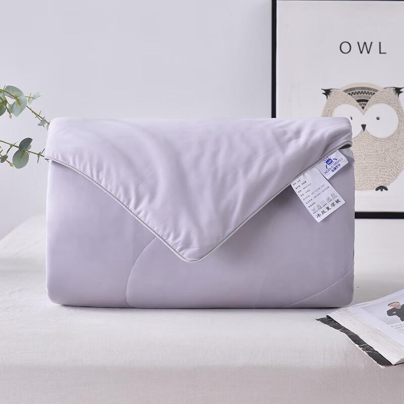 Ice Silk Summer Quilt