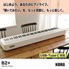 88-Key Digital Piano B2+ for Beginners, USB-Type C Compatible, Black