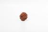 Natural 12 Mukhi Rudraksha Bead – Nepali Origin | Bead for Leadership, Confidence & Solar Chakra Balance Success | Organic & Lab Certified