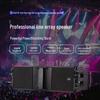 Runpu Dual 10-inch Two-way Passive Line Array Speaker (CN version)