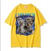 Vintage Capybruh Funny Capybara Meme Graphic T Shirts Women Harajuku s Hip Hop Tshirts Casual Short Sleeve Tshirt Personality
