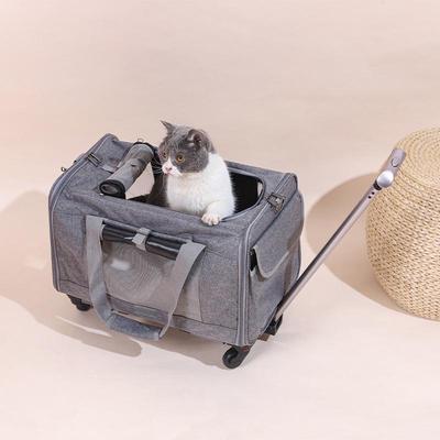 Foldable Summer Pet Carrier: Breathable, Portable Cat & Dog Bag Trolley Case