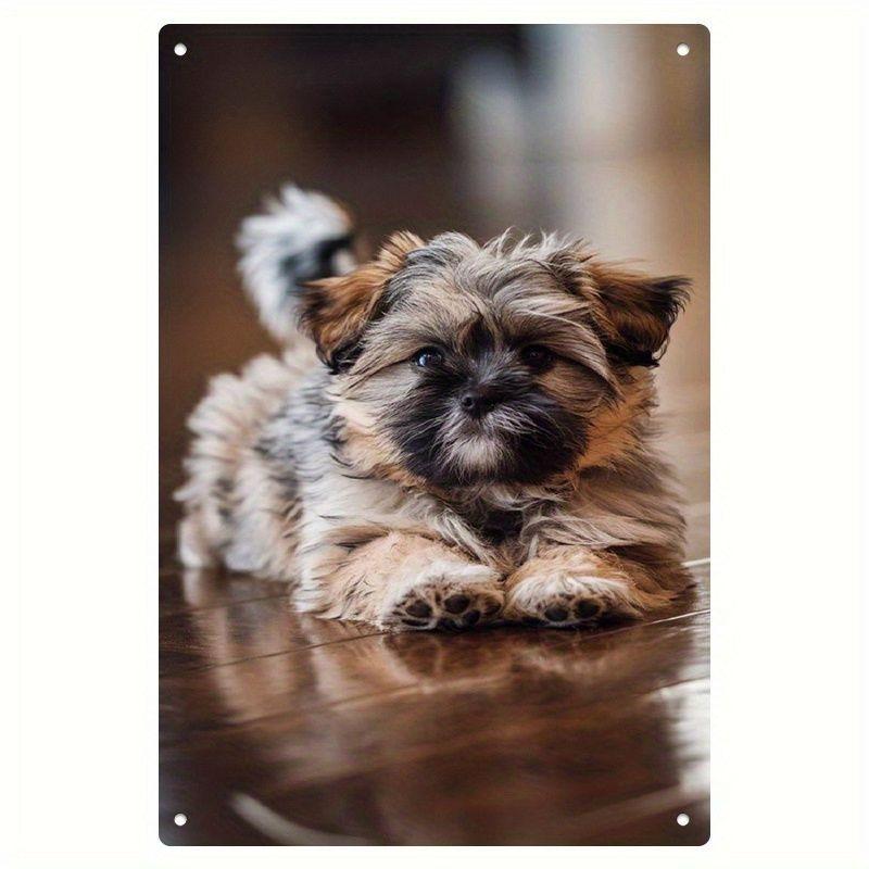 Retro Metal Paintings, Furniture, Living Room Decoration 20x30cm