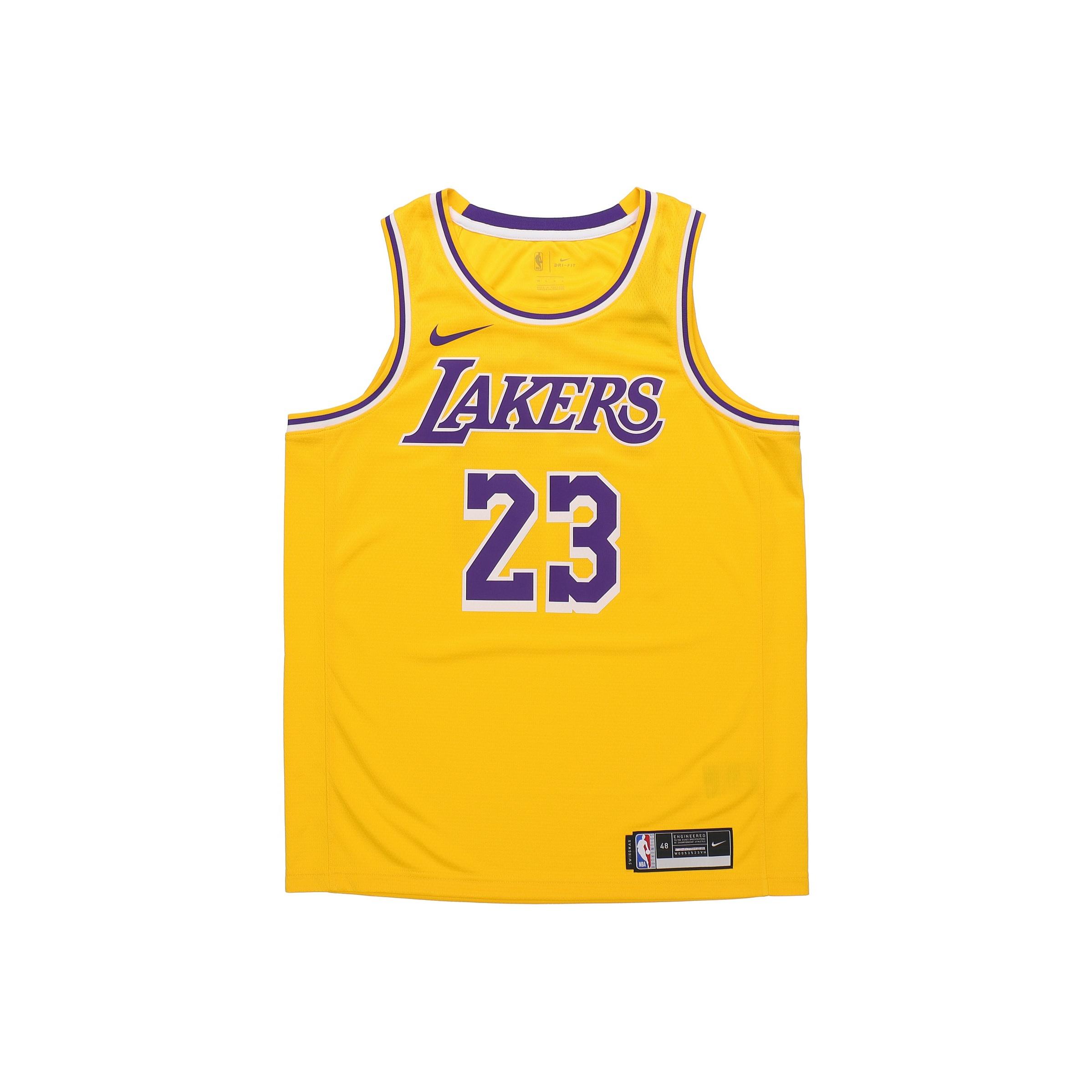 Nike LeBron James Icon Swingman Джерси Желтая мужская уличная одежда AA7099-741 M
