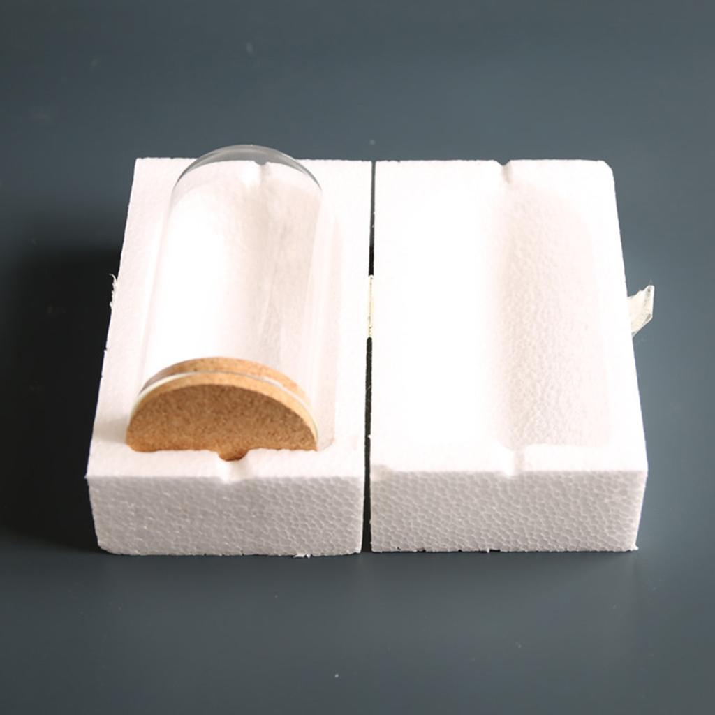 Set of 2 Mini Glass Cloche Dome with Cork Base Glass Bells Jar Terrariums Display Bottles for Flower Storage Art Display