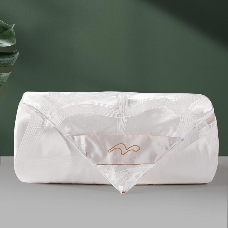 

Mercury 100% Tussah Silk All-Season Quilt