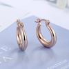 925 Sterling Silver Hot Snake AAA Zircon Stud Earrings For Women Exquisite Student Girlfriend Jewelry Accessories Wedding PartyGood product
