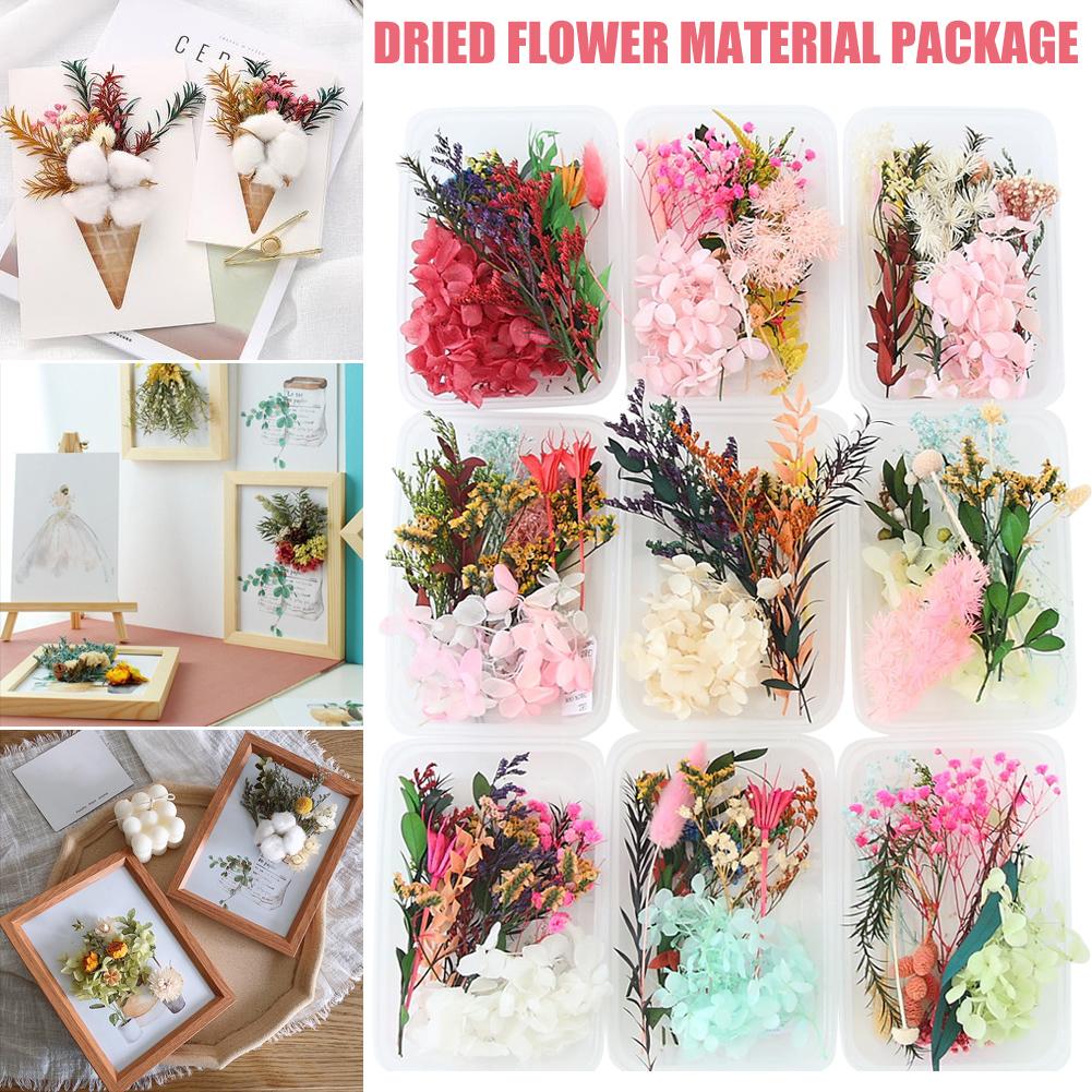 Real Dried Flowers Leaves Set Crafts Art Mixed Multiple Flower for Candle Resin for Jewelry Pendant Making Craft DIY Accessories