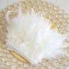 Feather10 Meters 32 Colors Dyed Turkey Feather Trim Fringe Stripped Feathers Ribbon Width 10-15cm for Dress Clothing Crafts Decoration