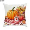 1pc 2D Flat Throw Pillow Covers Autumn Harvest Pumpkin Coffee Mug Fall Flowers Rustic Orange Red Yellow Soft Velvet Washable Pattern Pillow Covers Liv