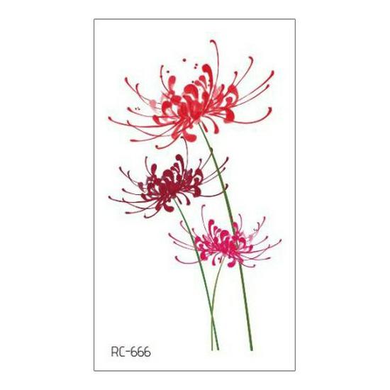 Waterproof Long-lasting Cute Peacock Feather Temporary Tattoo Stickers for Women