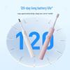 LBT L1 Sonic Electric Toothbrush CN Plug (adapter Included)