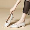 French fashion square head single shoes, early spring single shoes, simple temperament women's shoes, light mouth thick heel Mary Jane shoes