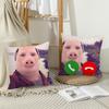 Meme John Pork vtipný Povlak na polštář Kancelářské polštářky Vhodné na pohovku do auta do ložnice Dekorativní povlak na polštář