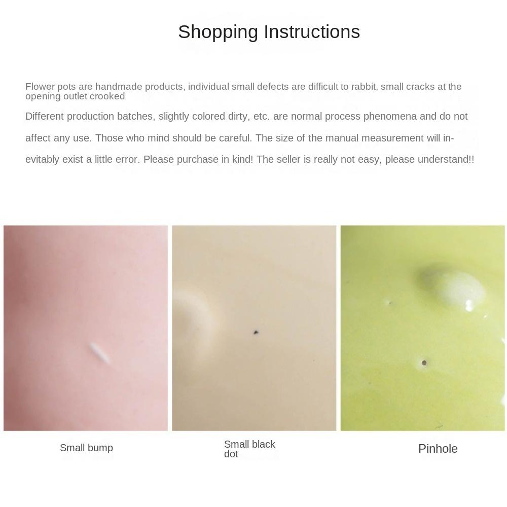 Mini Animal Succulent Planter with Hole Small Bonsai Pots Gift Succulent Plant Pot Green Plants