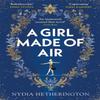 A Girl Made of Air by Nydia Hetherington Paperback Book 9781529408911