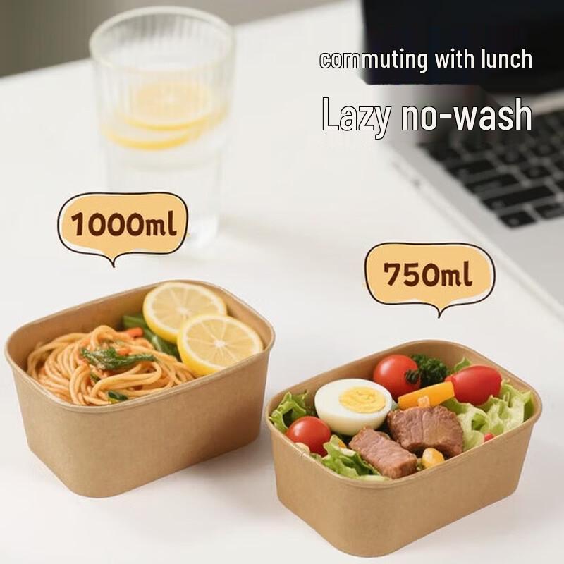 Microwaveable Square Takeaway Lunch Box