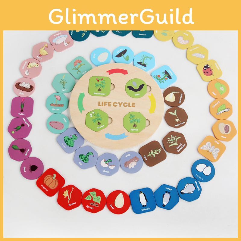 Nature Themed Wooden Lifecycle Puzzle Toy For Children Cognitive Building Skills