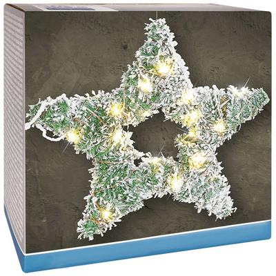 40 LED Luminous Star 58 Cm