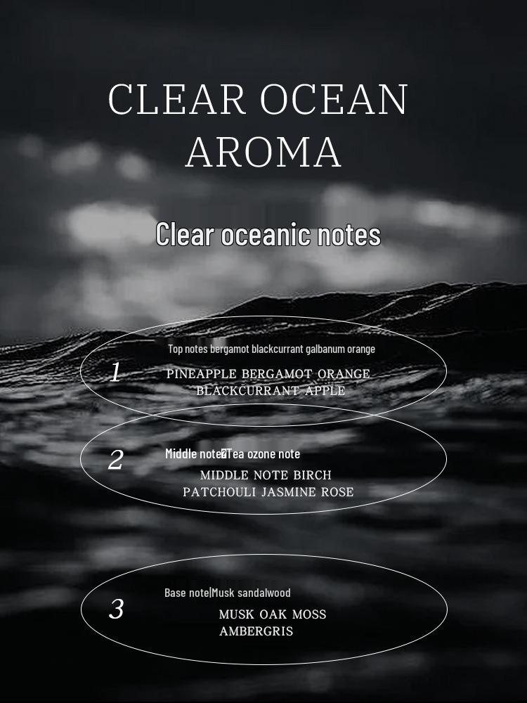 Napoleon Marine Scent Men's Eau De Toilette - Fresh, Long-lasting Silver Spring, 100ML