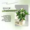 Realistic Artificial Plants Bonsai Elegant False Tropical Plants  Home Decor