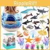Sharke Dolphins Penguinsmarine Animal Models Pvc Figurines For Early Learning And Collection