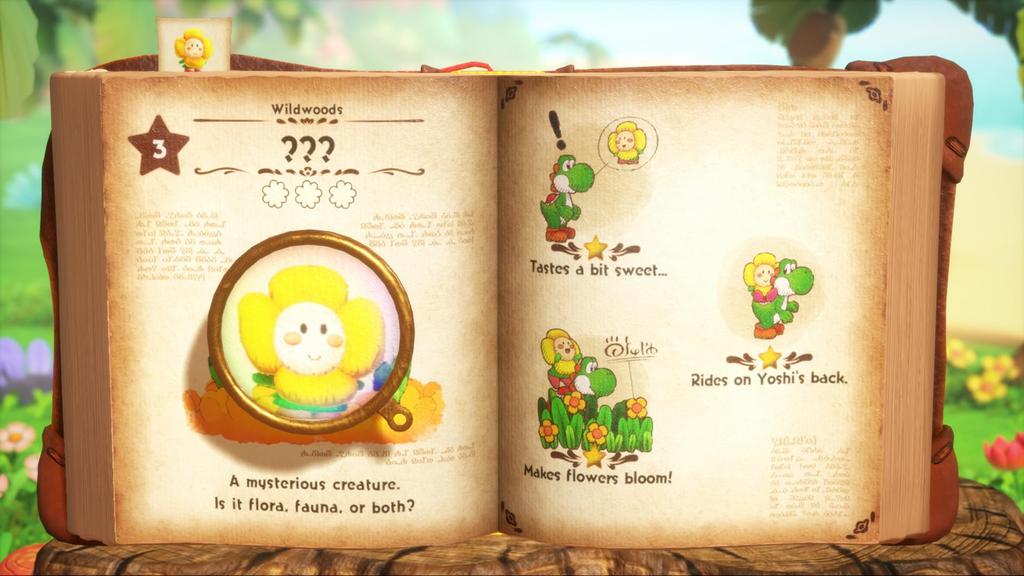Yoshi and the Mysterious Book American Switch 2 (North Import) -