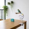 Bendable Desktop Bird Perch Stand Wear Resistant Bite Resistant Bird Feeding Rack with Clip Climbing Toy Standing Perch