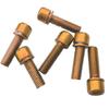 Set of 18Pcs, Cycling Bike Screws M5 x 18 Carbon Steel Bicycle Disc Brake Caliper Bolts (6 6 Gold +